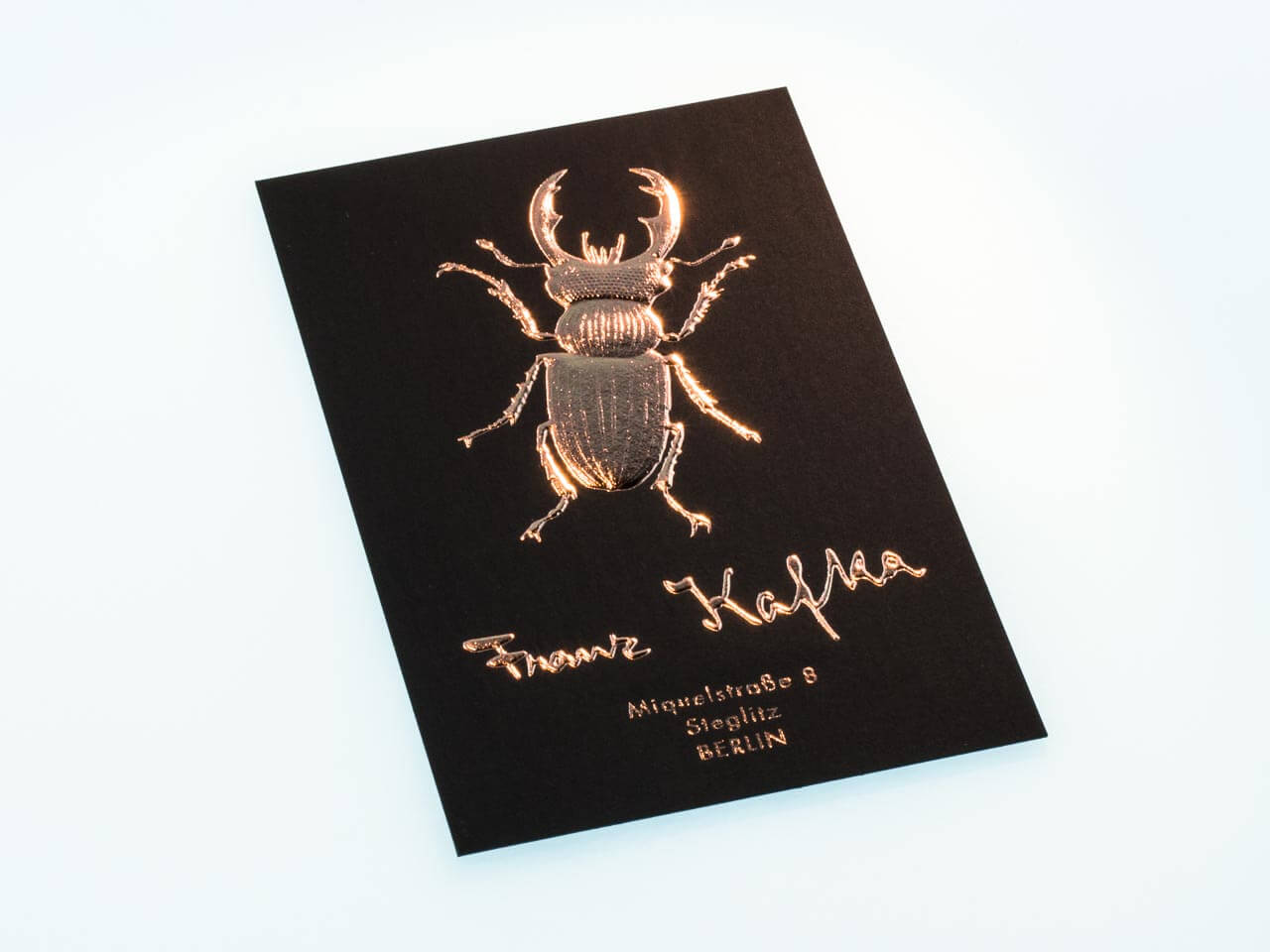 Käfer reliefgeprägt in Kupfer auf schwarzem Karton